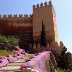 Château Almeria - Espagne - @SvD - Pixabay
