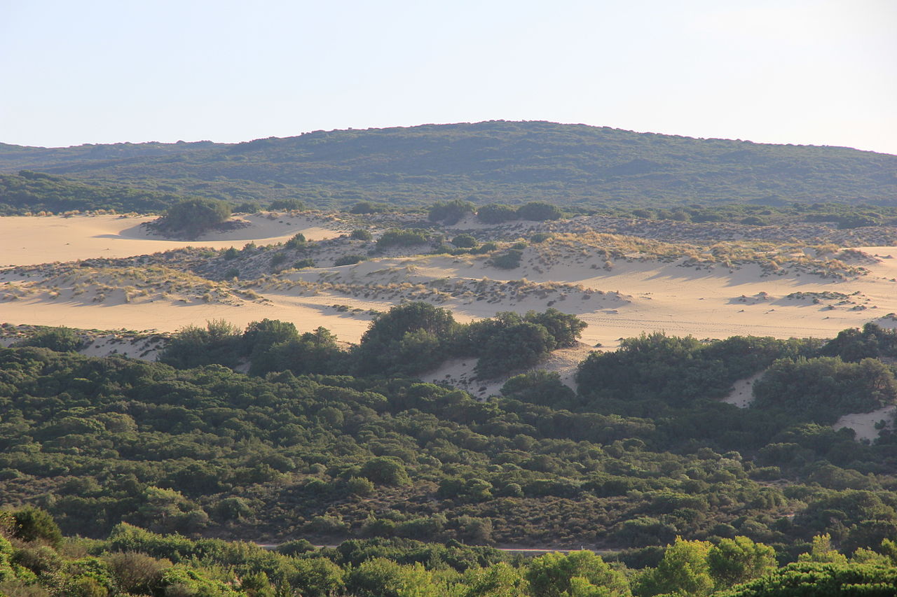 Les dunes de Piscinas - @Wikimedia Commons - Google Images
