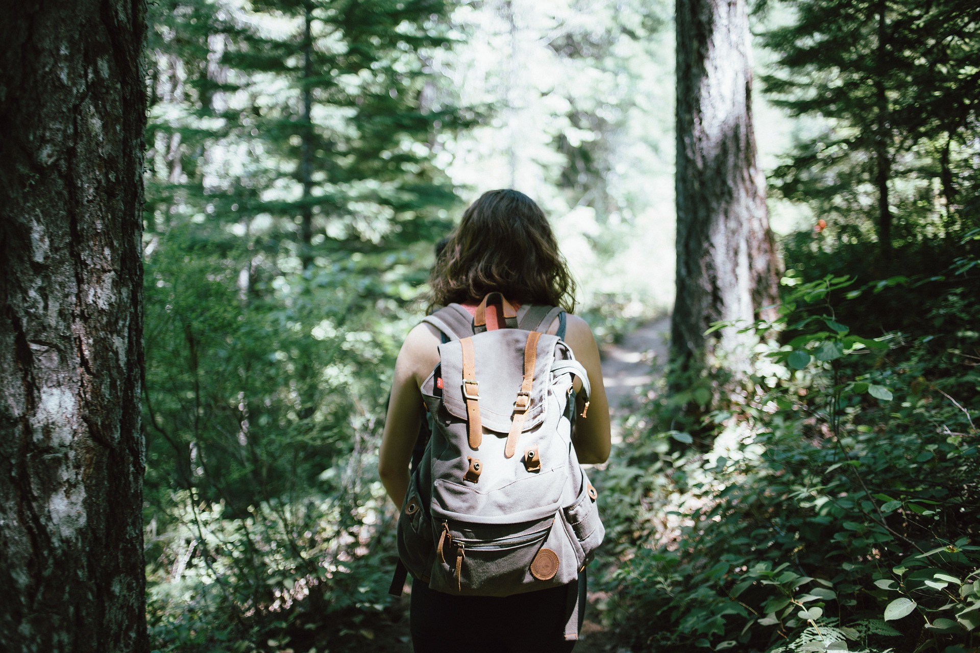 Trek Partez pour un trek - @Unsplash - Pixabay