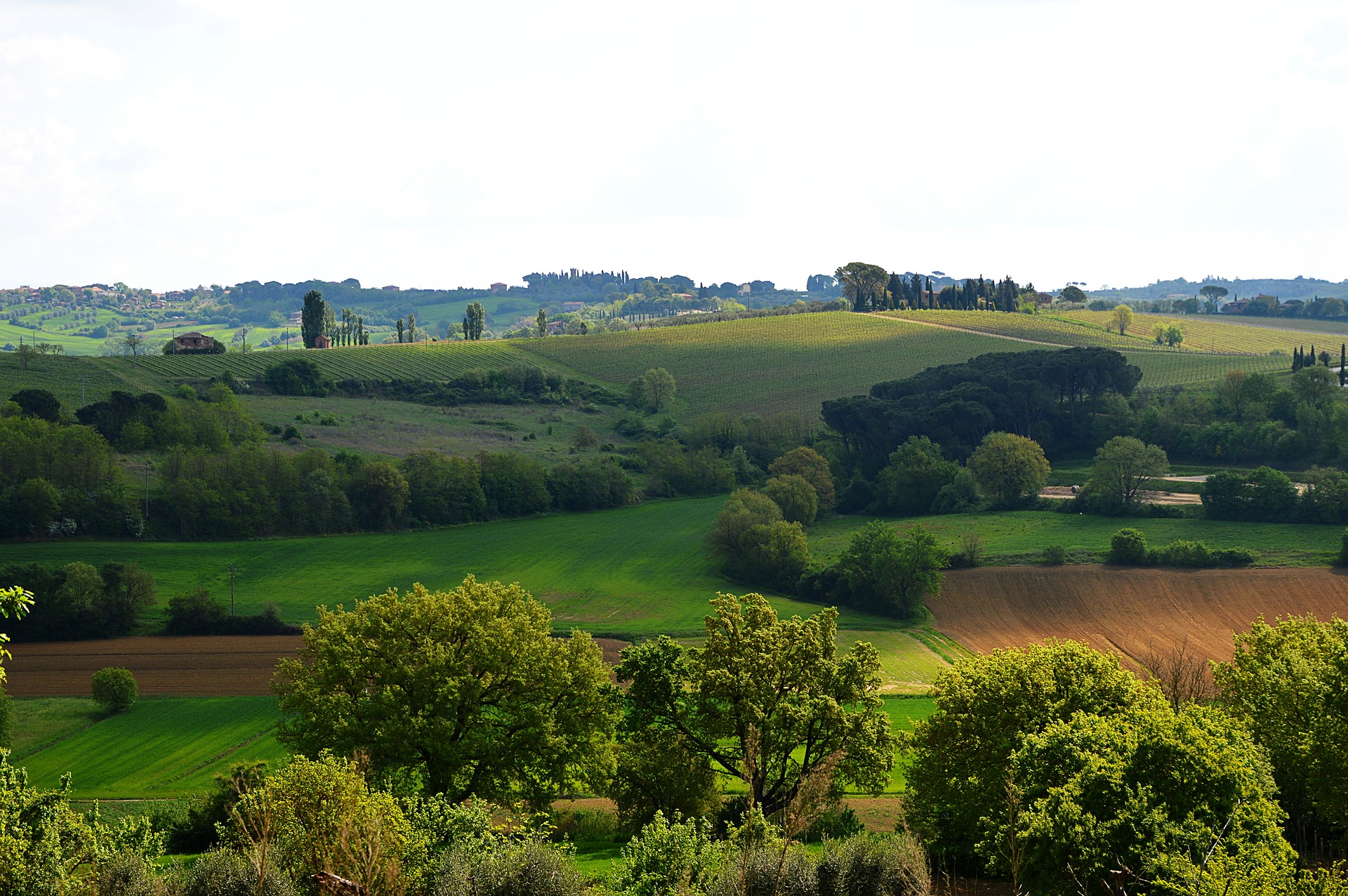 Paysage de Toscane - @Roselie - Pixabay