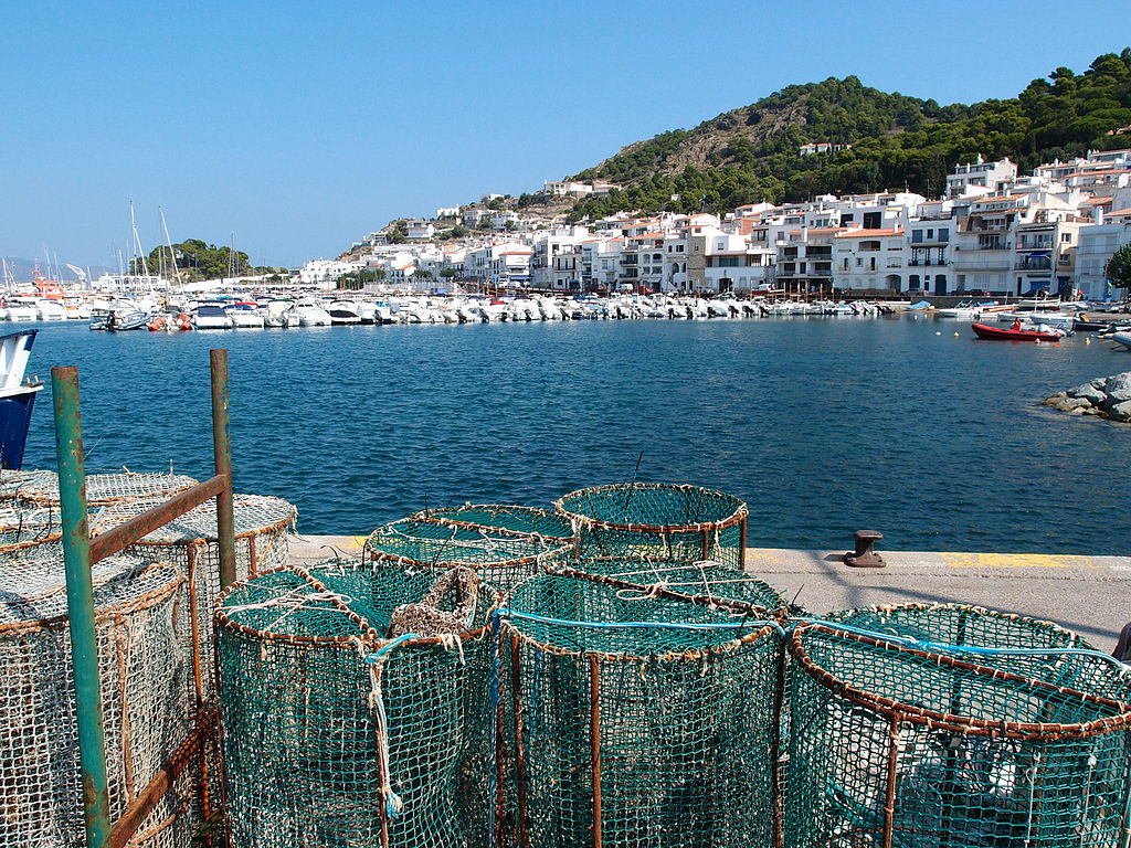el port de la selva
