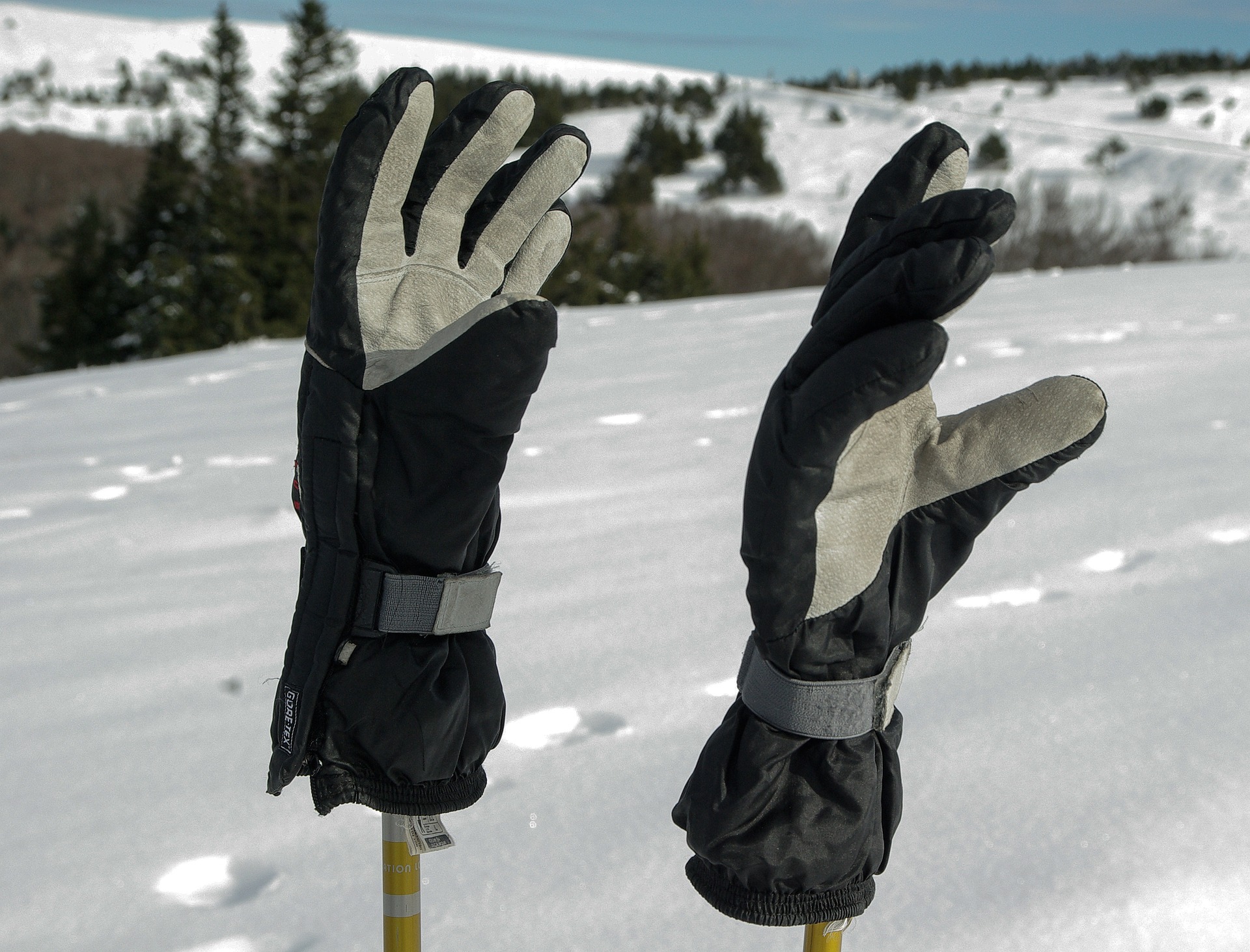Gants de ski, bonnets et chaussettes : que choisir ? - plare. Des gants de ski pour protéger vos mains - @jackmac34 - Pixabay