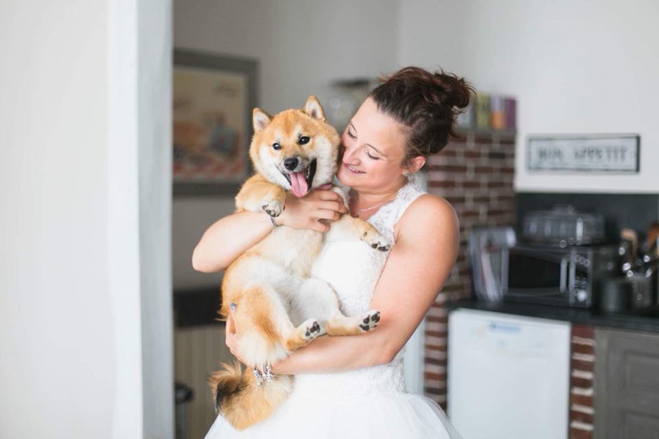 Conseils pour faire garder son chien pendant les vacances - plare. 272 - plare.