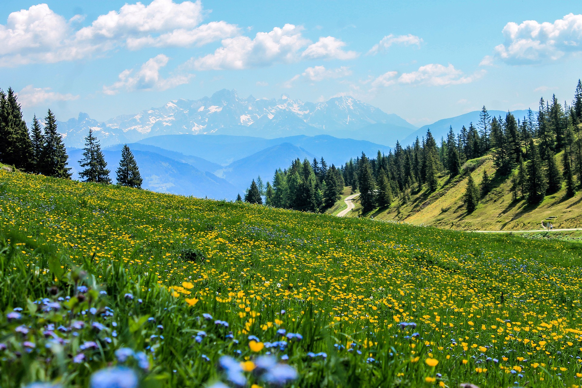 Les Alpes Les Alpes