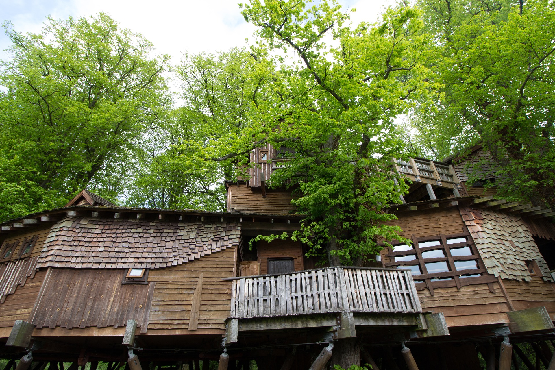 Cabane dans les arbres Cabane dans les arbres