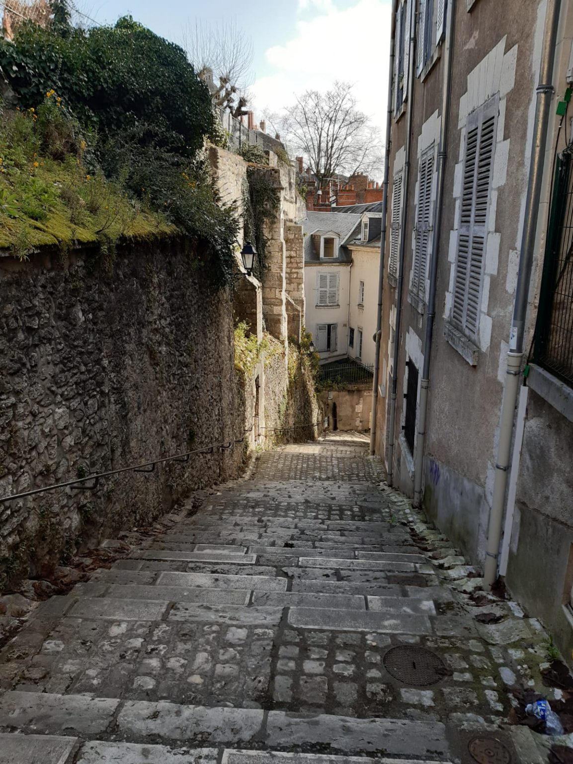 Pourquoi visiter Blois ? Les cinq bonnes raisons (sans langue de Blois) !