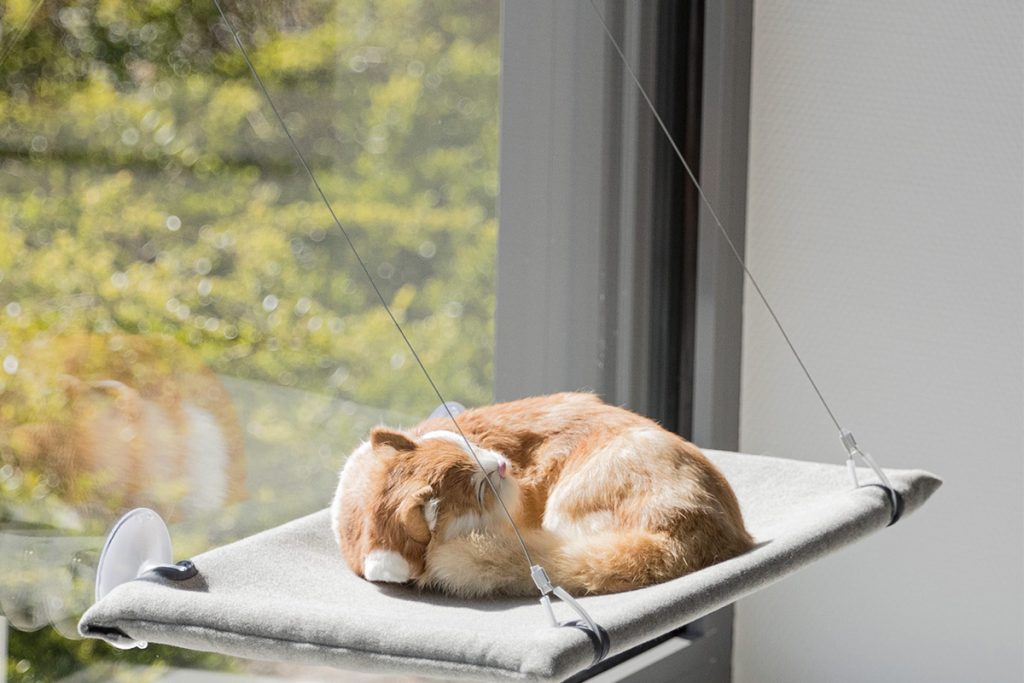 hamac de fenêtre pour chat