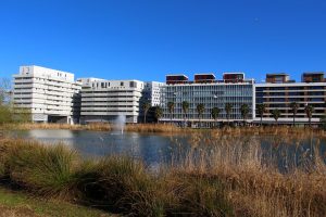 Top 5 des attraits de la ville de Montpellier - plare. montpellier Port Marianne - plare.