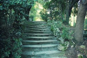 montpellier jardin des Plantes - plare.