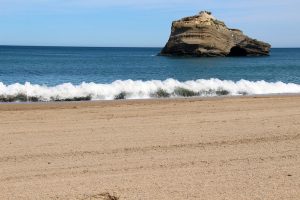 plage du Miramar Biarritz - plare.