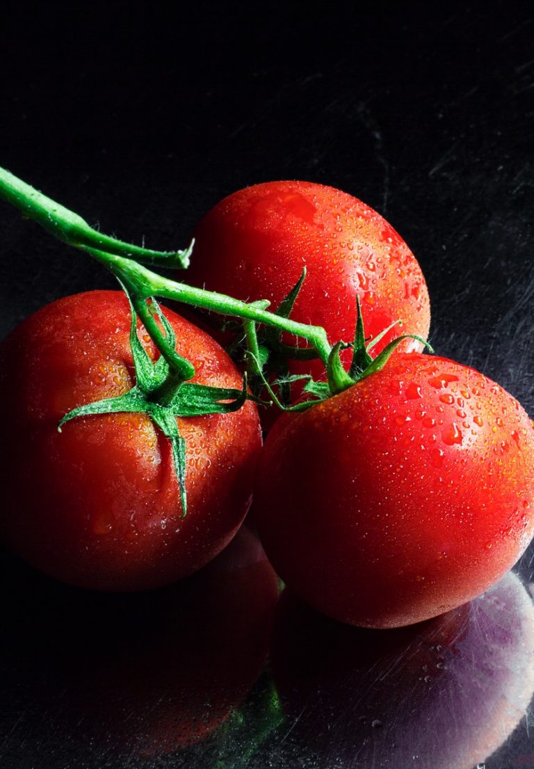 Tomate deguster manger et jus - Plare