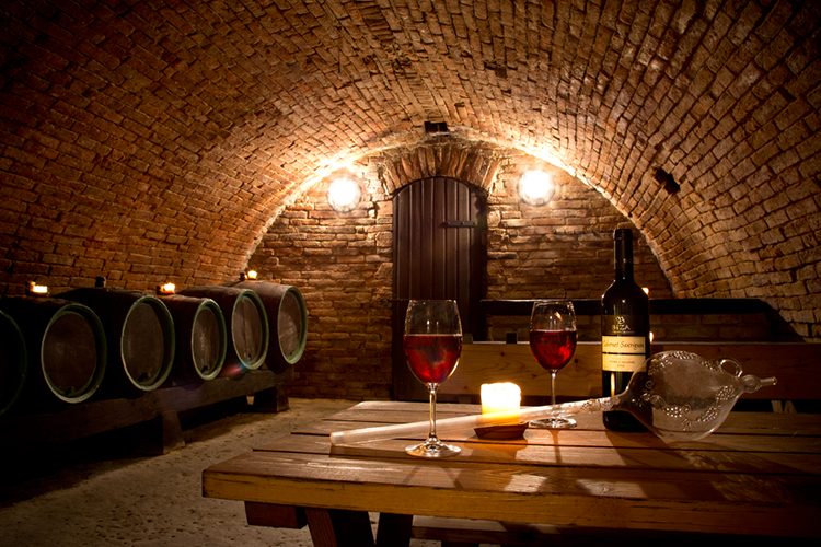 Top 10 des choses à faire à Montpellier pendant un week-end - plare. Degustation de vin - plare.