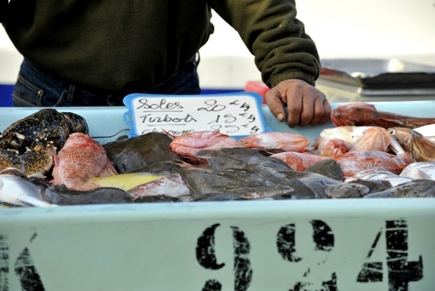 Flaner au marche de poisson de Marseille - plare.