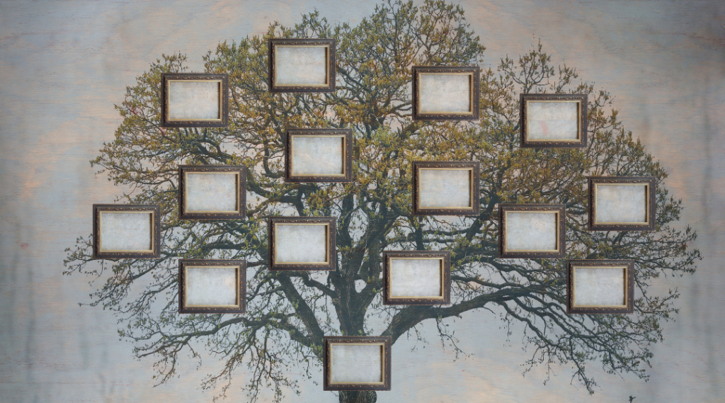 arbre généalogique