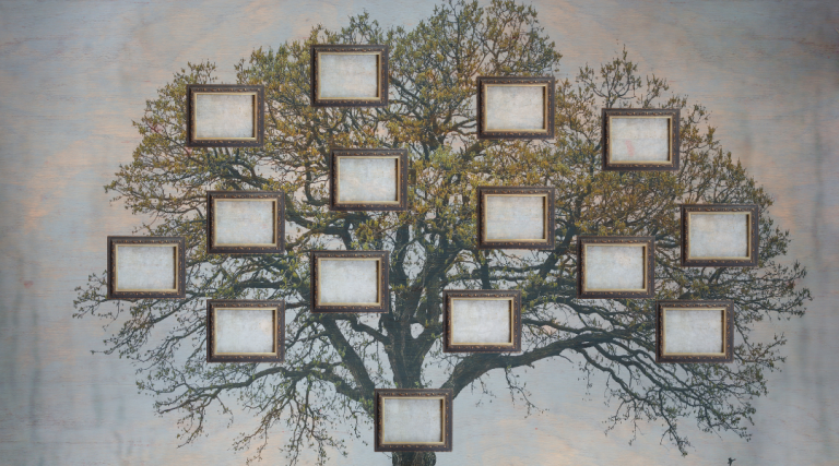 arbre généalogique