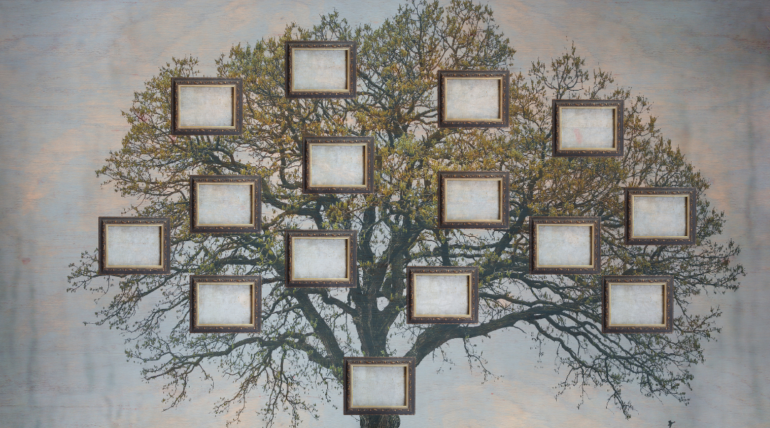 arbre généalogique