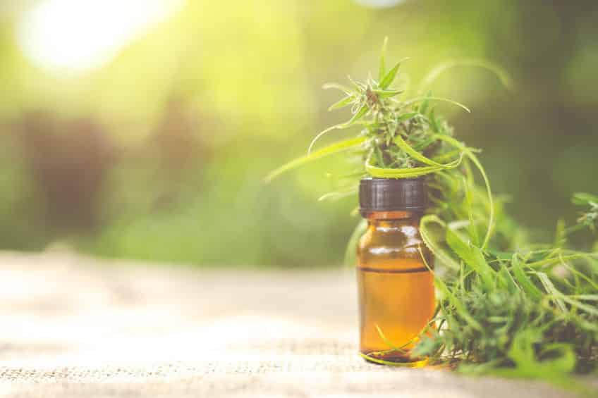 Cannabis oil, CBD oil cannabis extract, Medical cannabis concept.