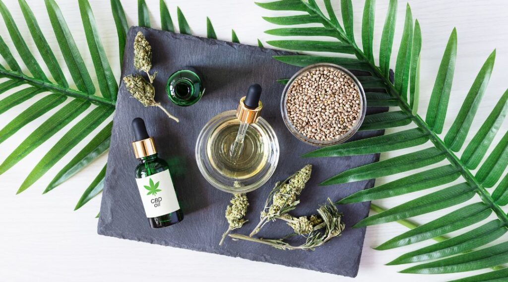 Le CBD pour chevaux : pourquoi l’utiliser ? CBD