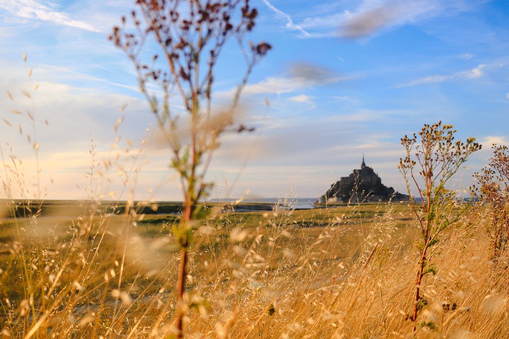 Activites normandie france exterieur outdoor - Plare