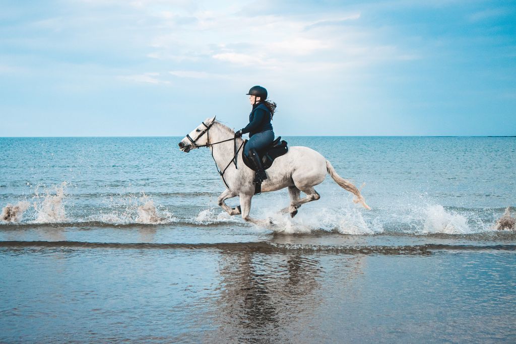 Activites sud cheval camargue france exterieur outdoor que faire ete - Plare