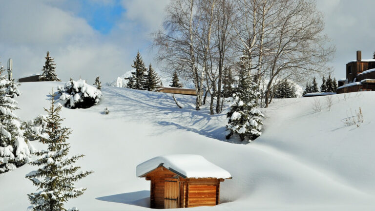 Trouvez votre location de sports d'hiver depuis un site web