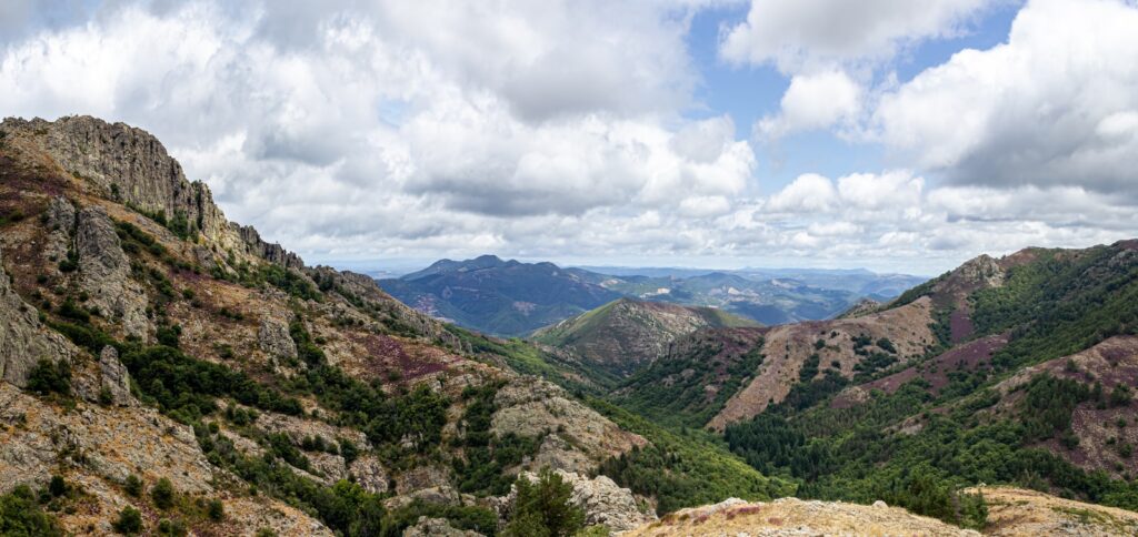 Languedoc Roussillon Plare