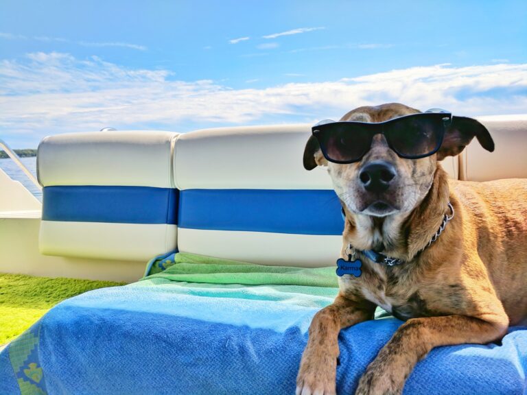 Ne rien faire cool chill detente vacances feignant - Plare