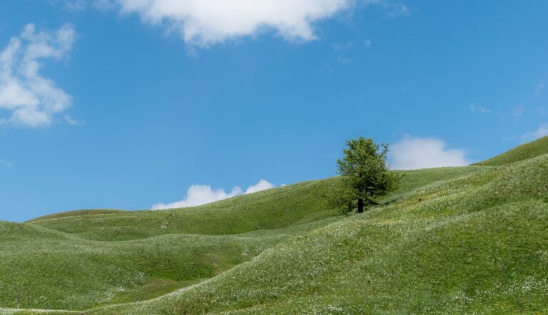 Vacances ete montagne Valloire Plare