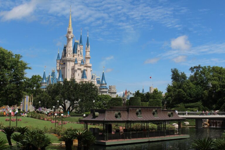 5 princesses Disney a connaitre Ariel Cendrillon Raiponce Elsa Vaiana - Plare