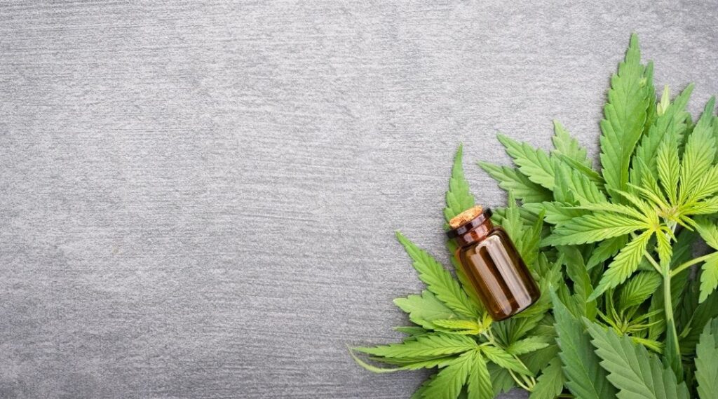 CBD italien : qu’a-t-il de plus et où le trouver ? CBD