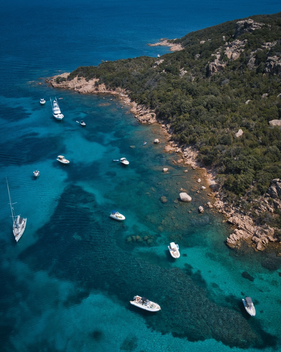 pourquoi visiter corse gastronomie Plare
