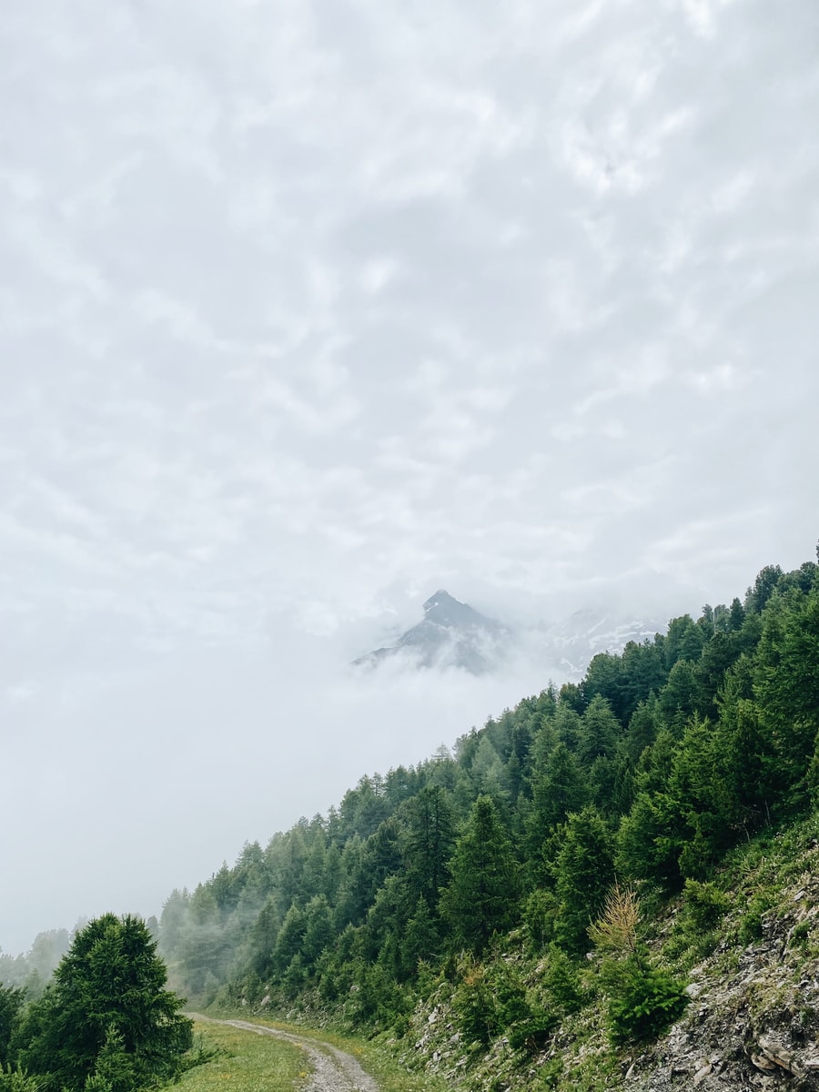 Vacances ete montagne la norma Plare