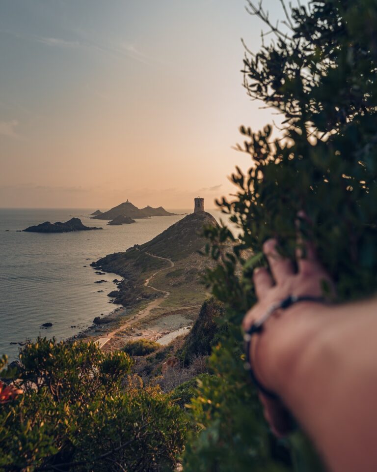 pourquoi vacances corse gastronomie Plare