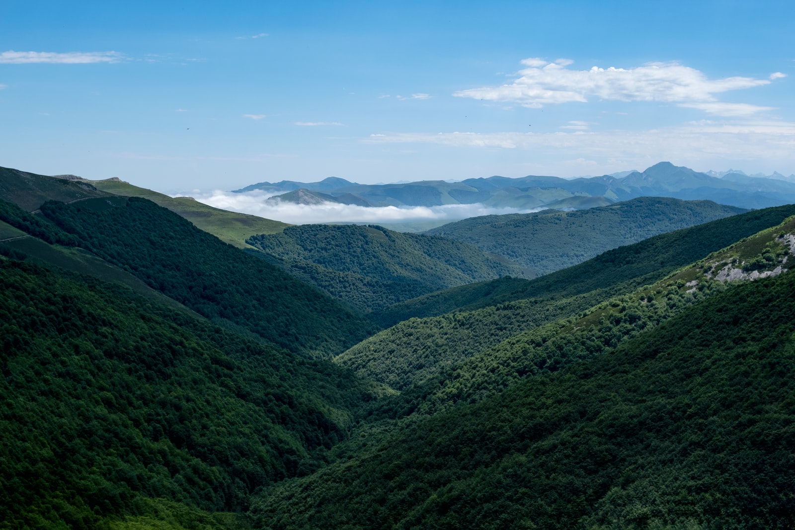 Pays basque france Plare