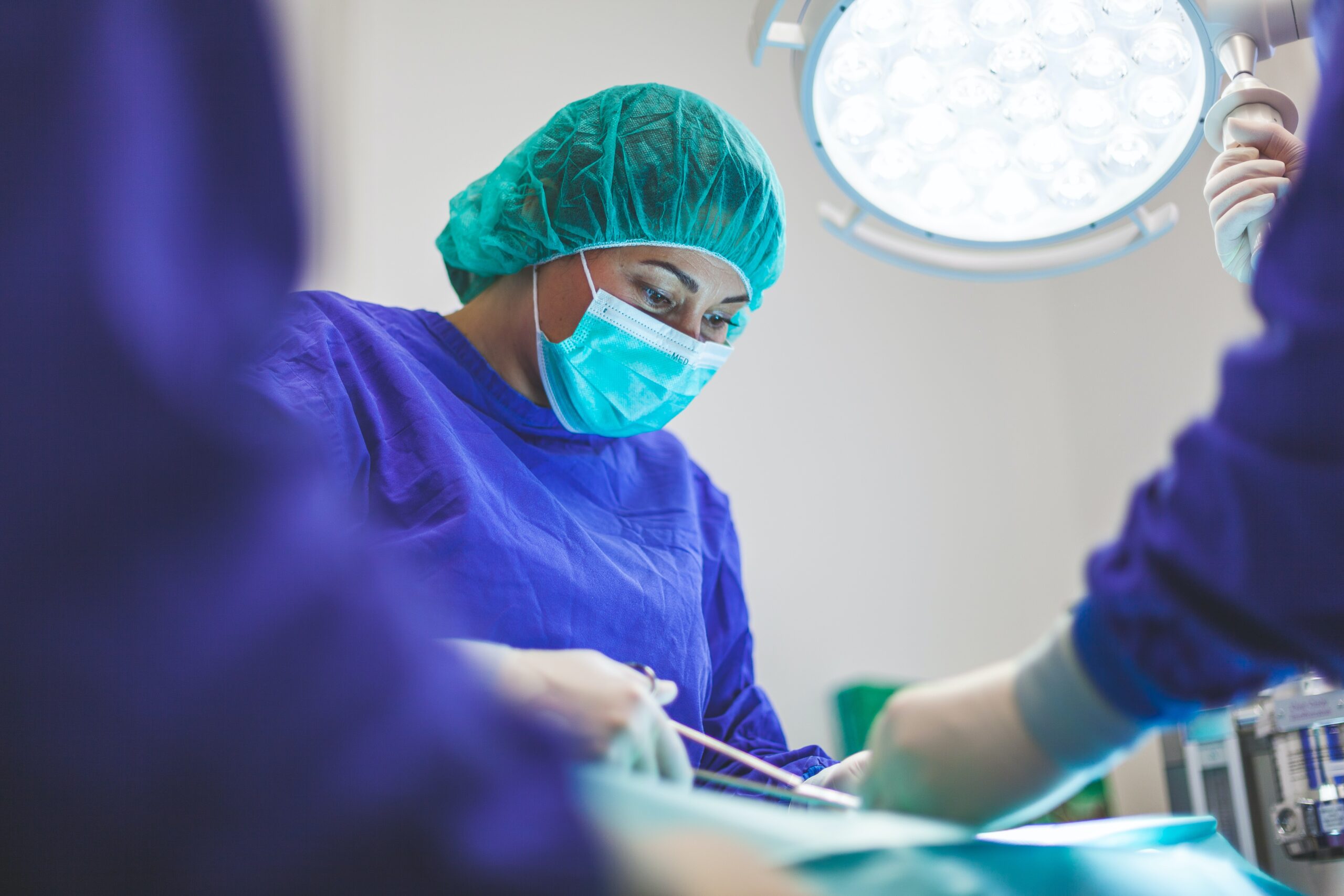 urgence vétérinaire que fait un vétérinaire domicile - Plare