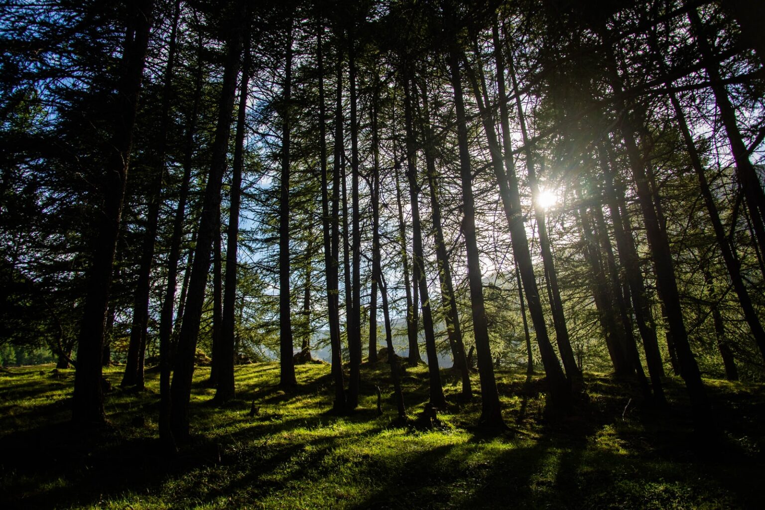 Les vacances d’été aux Orres Vacances ete montagne les orres Plare