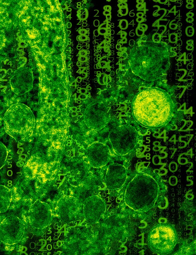 L’amibe « mangeuse de cerveau », fait une nouvelle victime : un enfant meurt après une baignade Amibe Plare