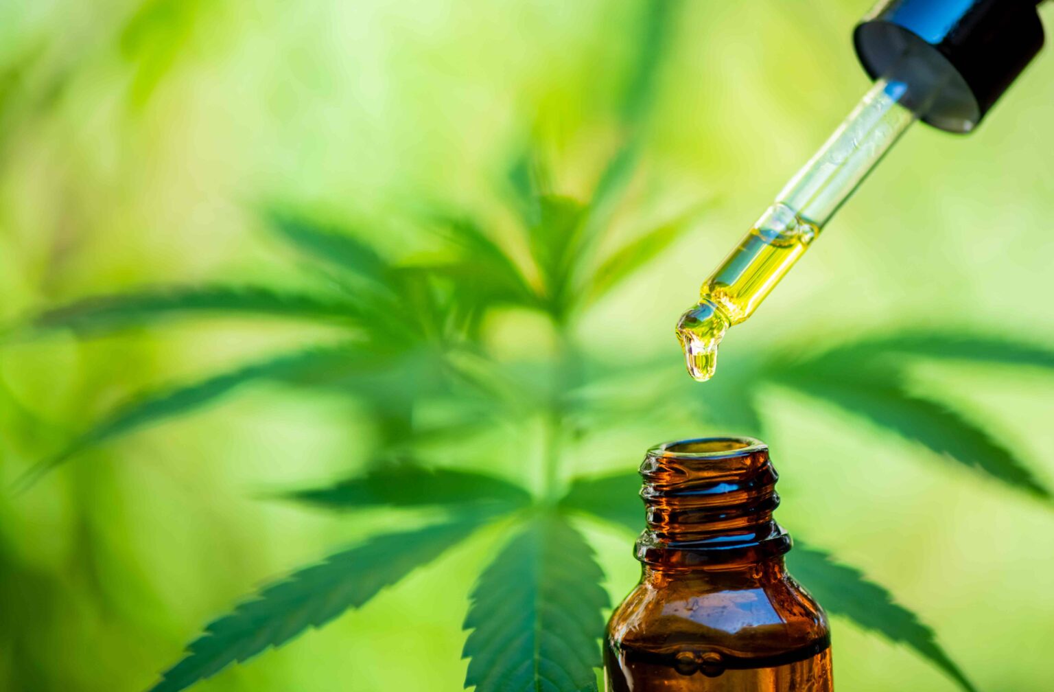 Top 3 des avantages pour la santé de l’huile de CBD
