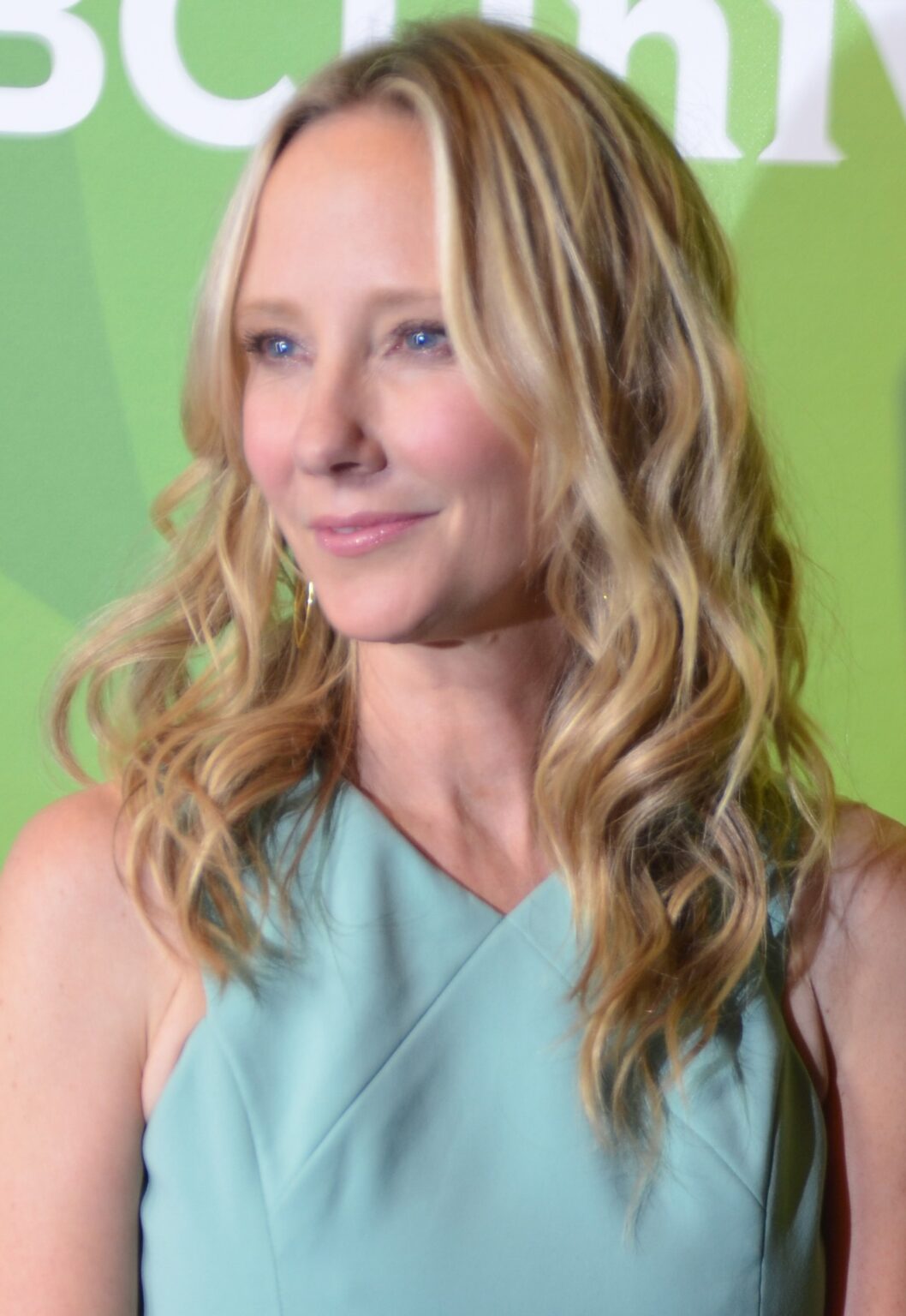 Anne Heche Mingle Media TV, CC BY 2.0 via Wikimedia Commons Plare