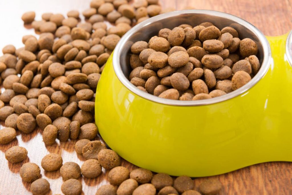 Quelles sont les croquettes les plus naturelles pour son chat ? Quelles sont croquettes plus naturelles pour chat Plare