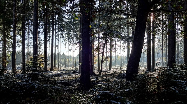 Quels lieux découvrir pour camping Allemagne Plare