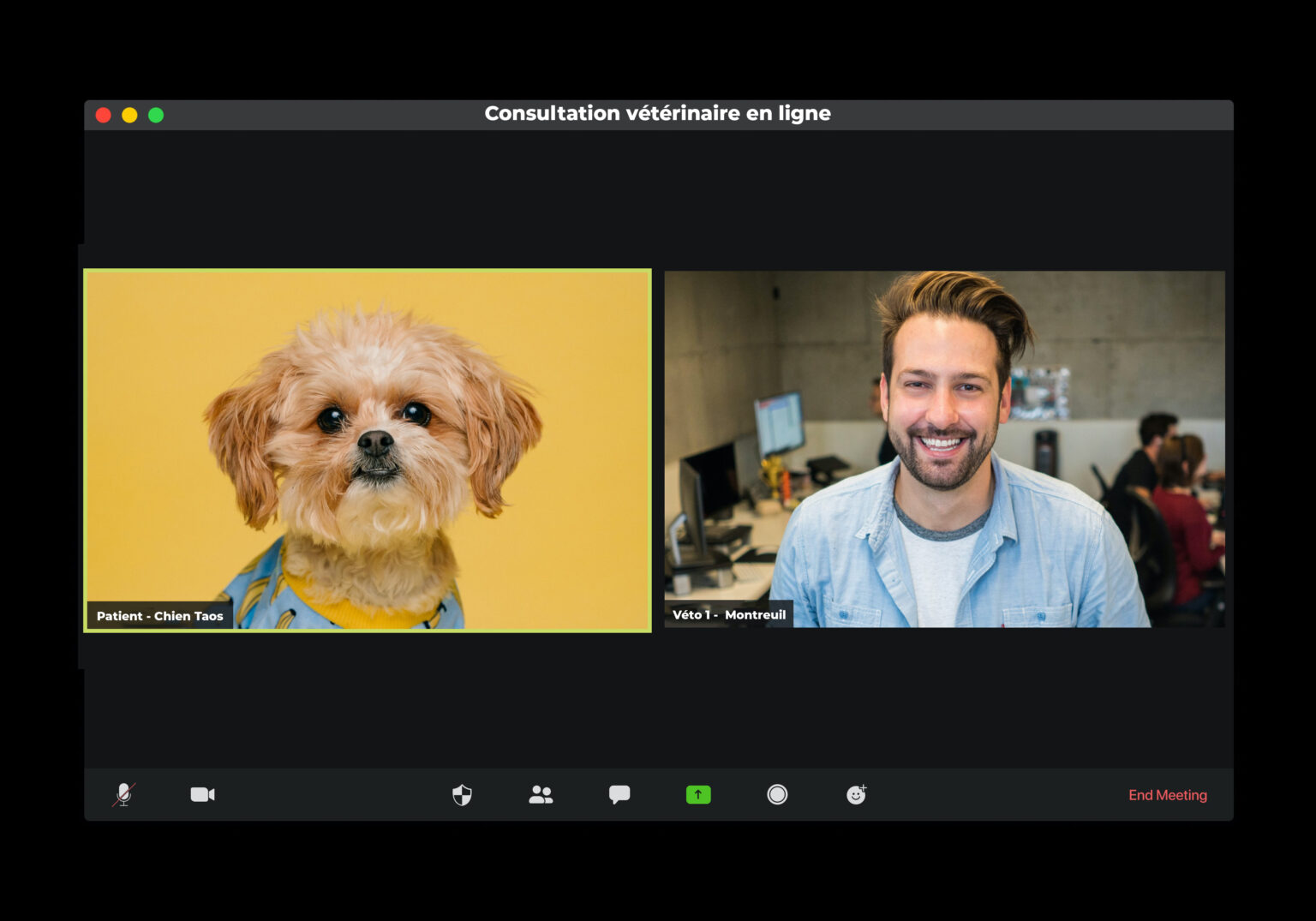 Veterinaire teleconsultation en ligne a domicile Plare