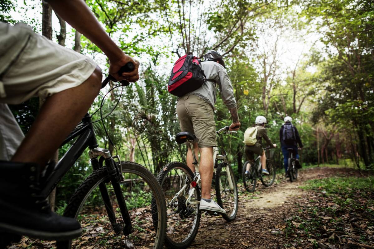 VTT : quel vélo choisir pour débuter ? Plare