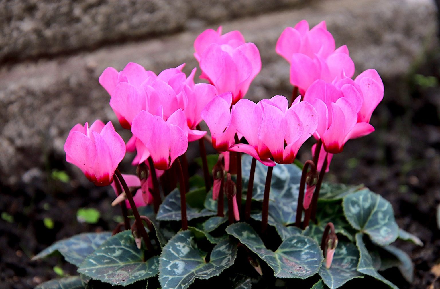 Ephéméride du 2 novembre