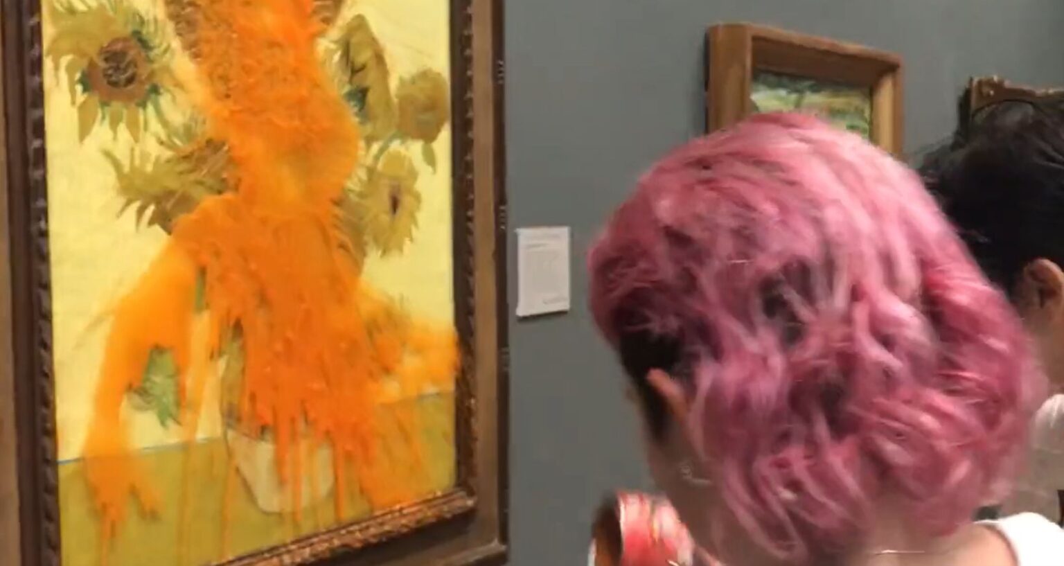 Les militants écologistes de Just Stop Oil ont jeté de la soupe à la tomate sur les Tournesols de Van Gogh à la National Gallery Militantes Just Stop Oil ont jeté de la soupe à la tomate sur Tournesols Van Gogh National Gallery Plare
