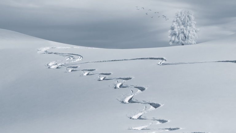Passez des vacances d'hiver dans un lieu vraiment magique Plare