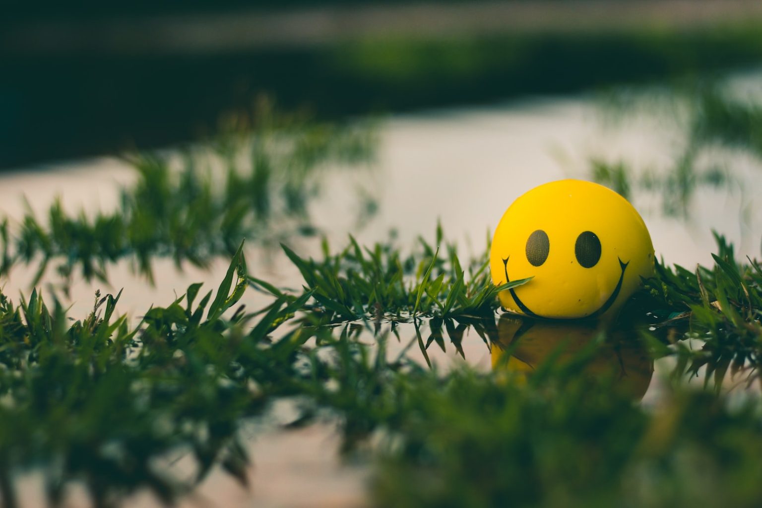 Mindset : Comment créer un état d’esprit entrepreneurial (7 étapes réalisables)