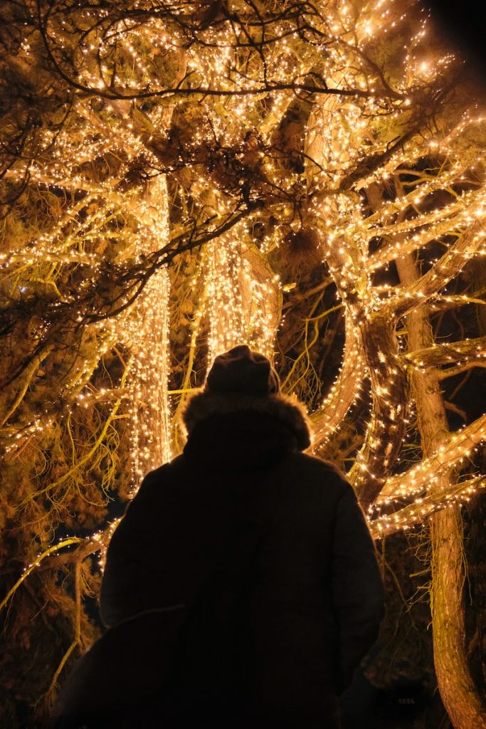 Chants noel Top choses à faire à Noël avec un enfant