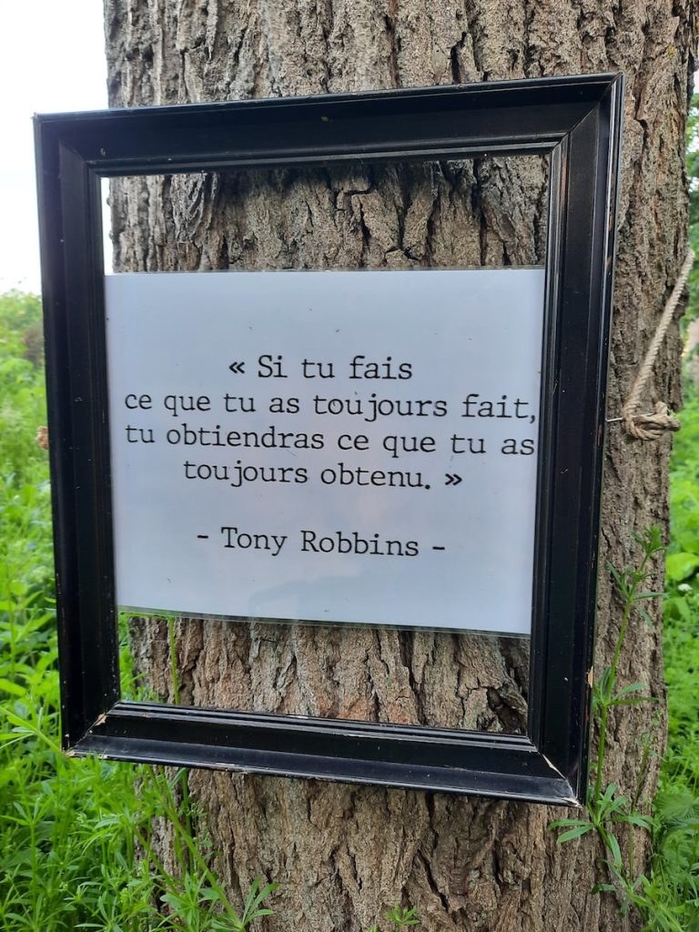 Top meilleures répliques citations Plare