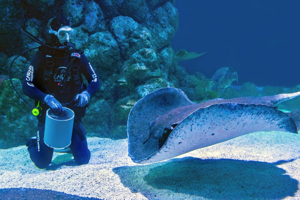 Top 17 plus beaux aquariums France Plare